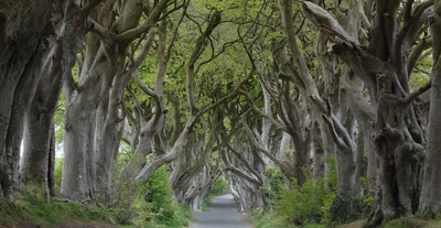 All Hallows’ Eve: The Irish Origins of a Sacred Night